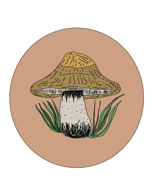 Champignons rosé